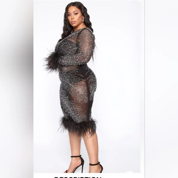 Fashion Nova Plus Size Feather Trim Beaded Sheer Mesh Dress - Picture 6 of 15